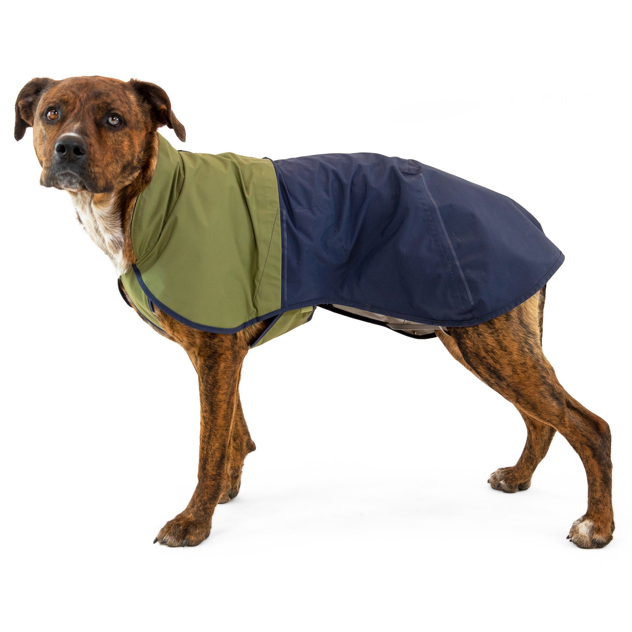 Ruffwear Sun Shower Dog Raincoat