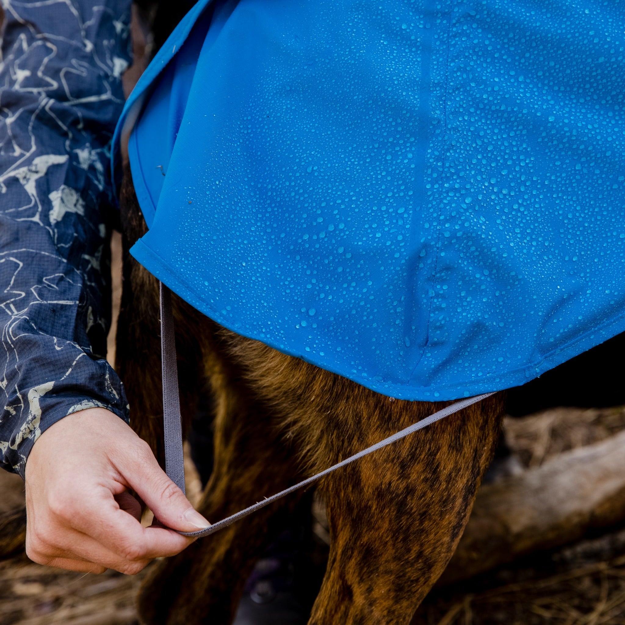 Ruffwear Sun Shower Dog Raincoat