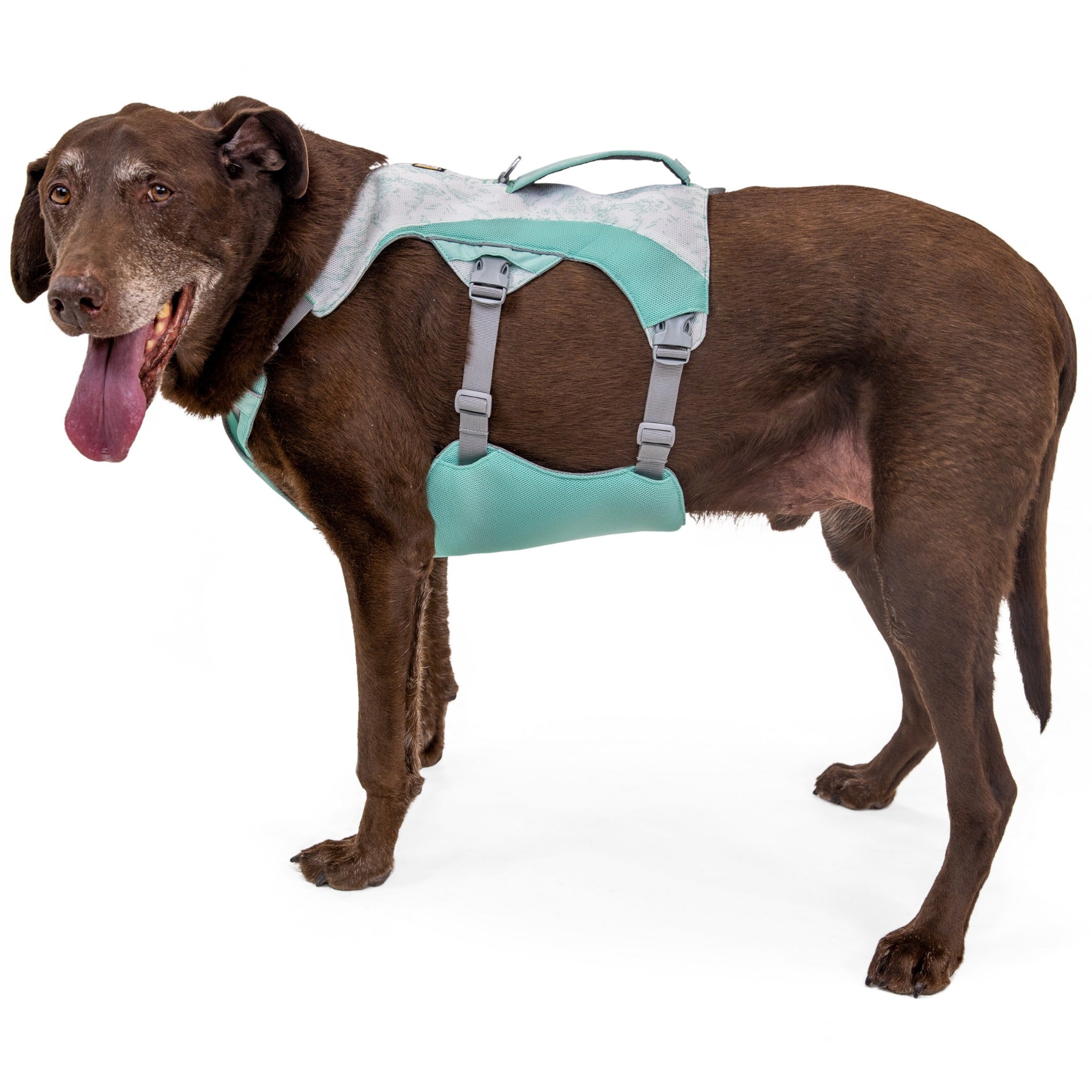 Ruffwear Swamp Cooler Harness Hundegeschirr