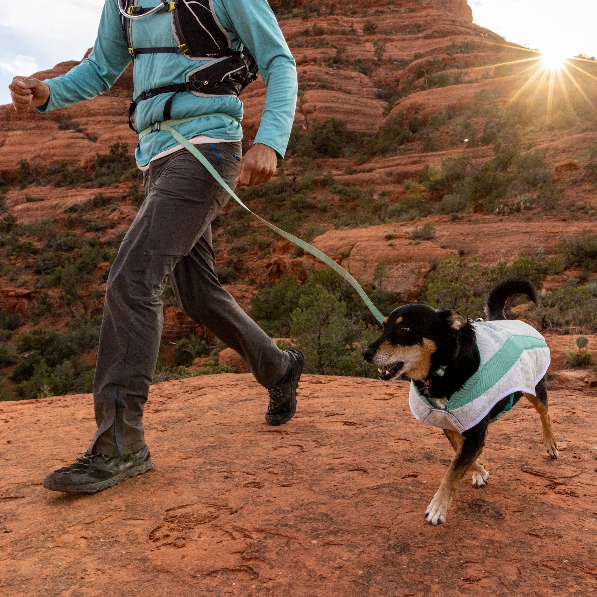 Ruffwear Swamp Cooler dog cooling vest