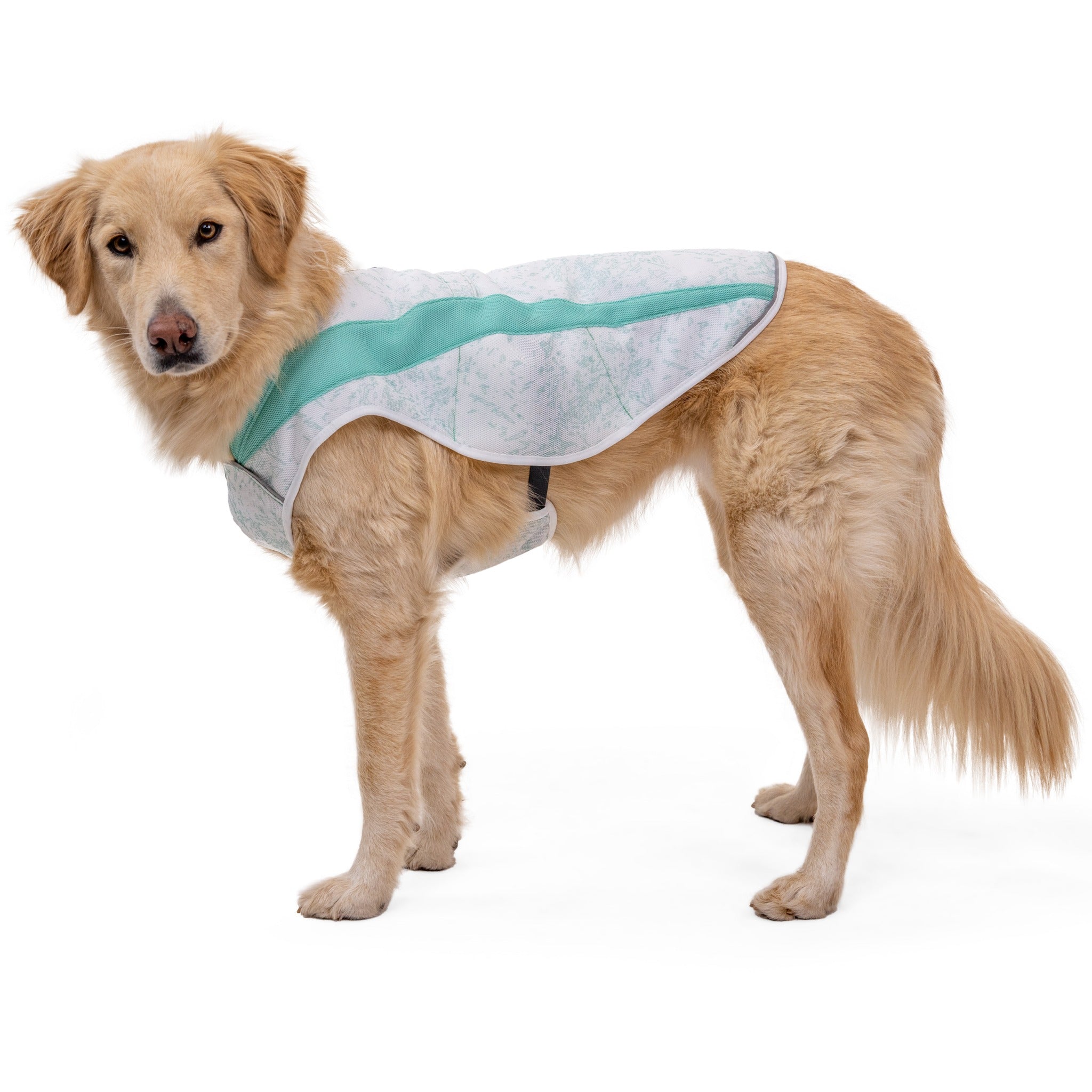 Ruffwear Swamp Cooler dog cooling vest