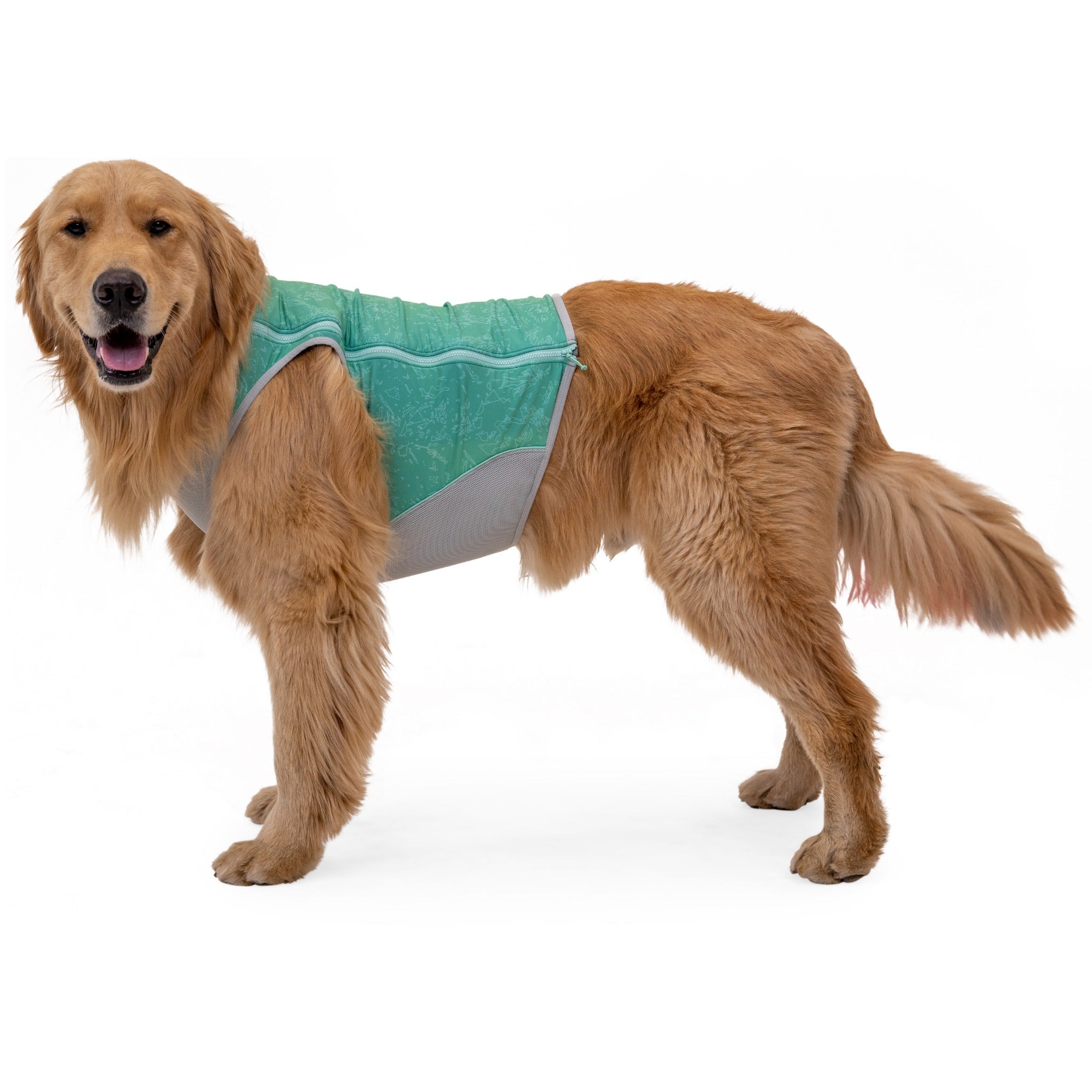 Ruffwear Swamp Cooler Zip Vest dog cooling vest