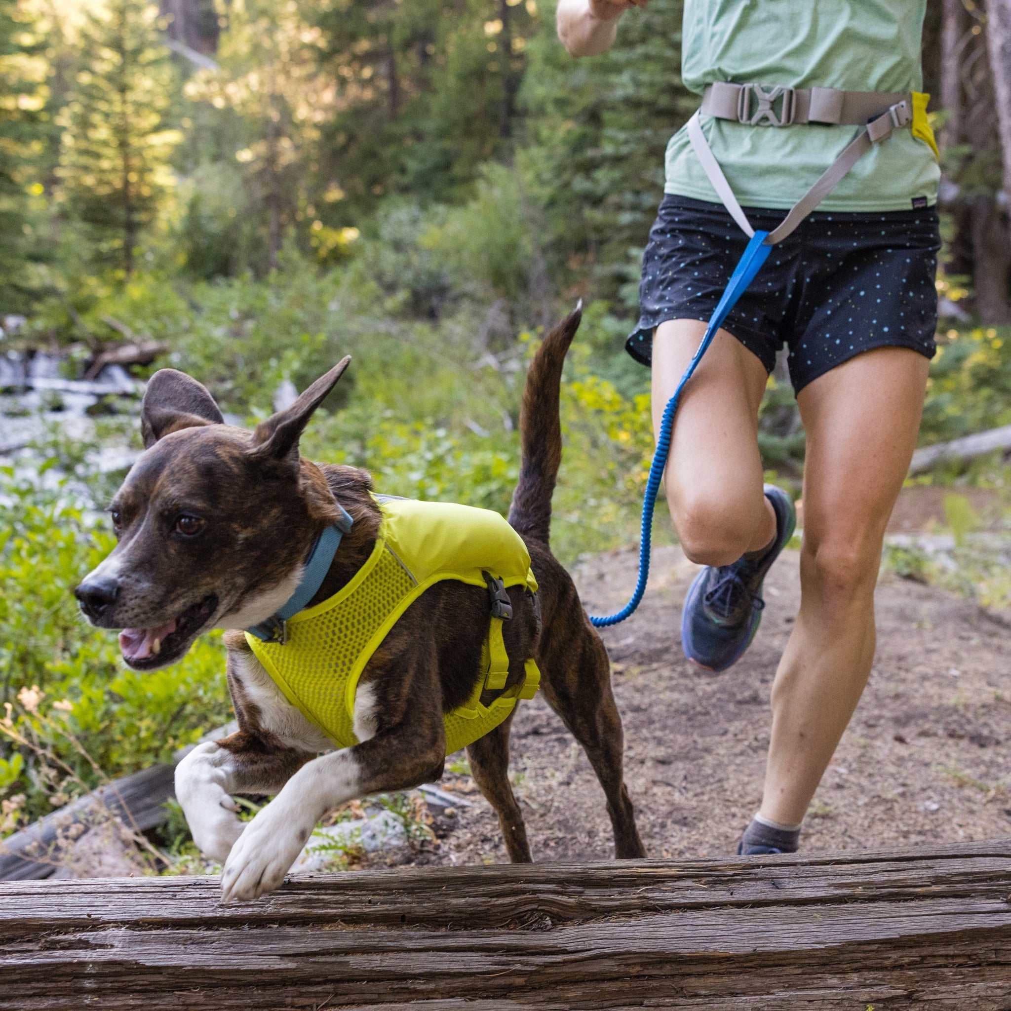 Rough wear dog outlet leash