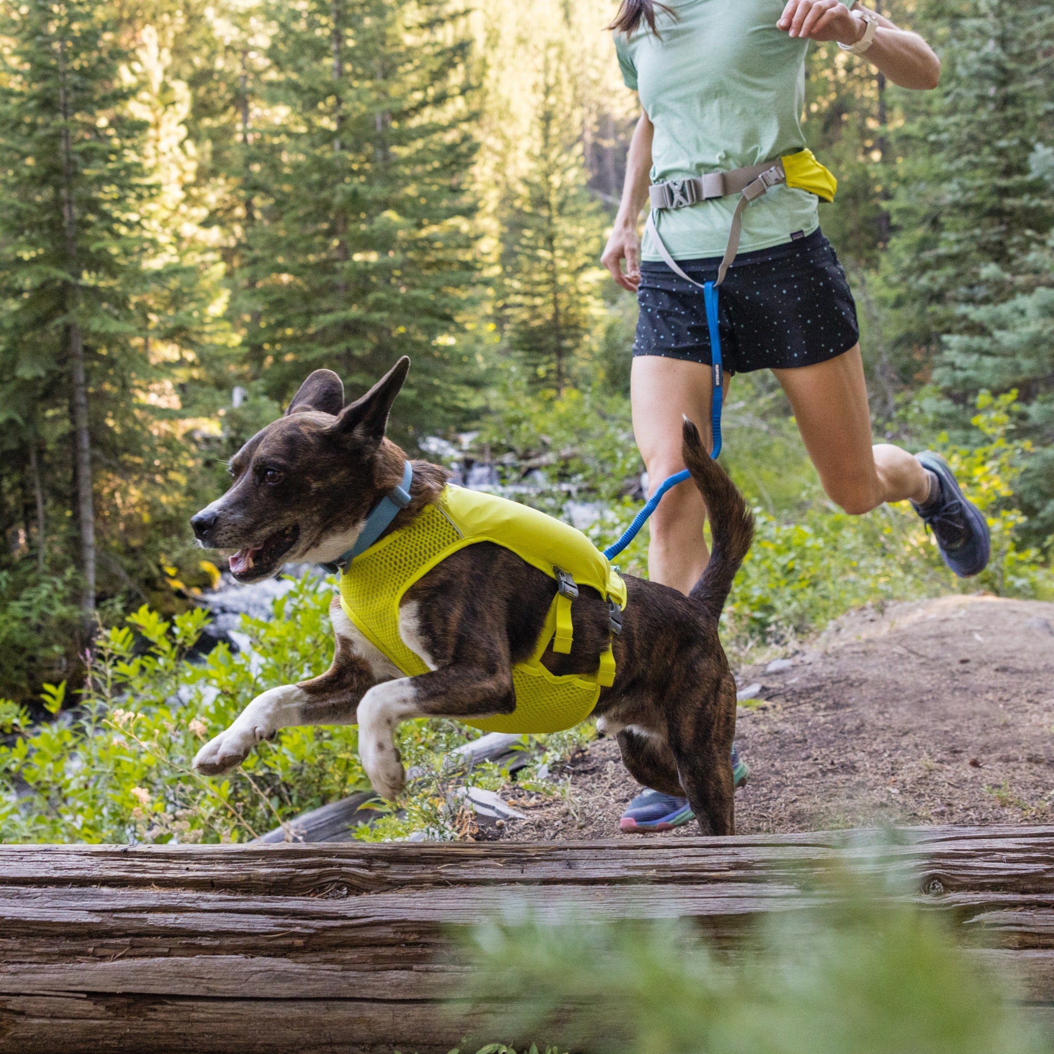 Ruffwear Trail Runner Dog Leash