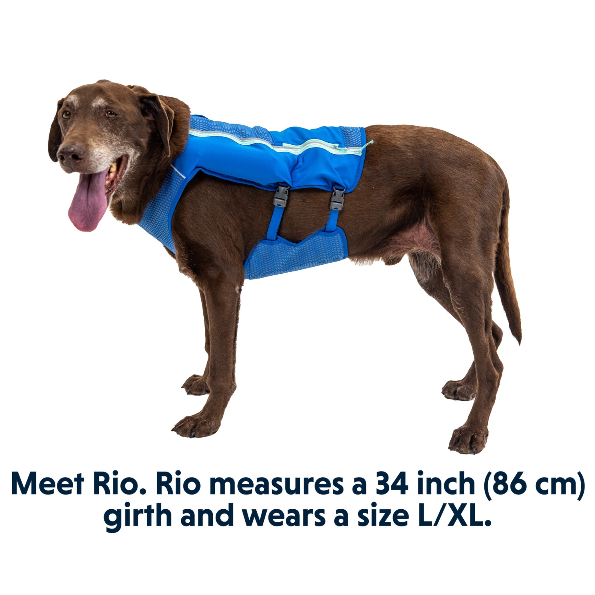 Ruffwear Trail Runner Running Vest