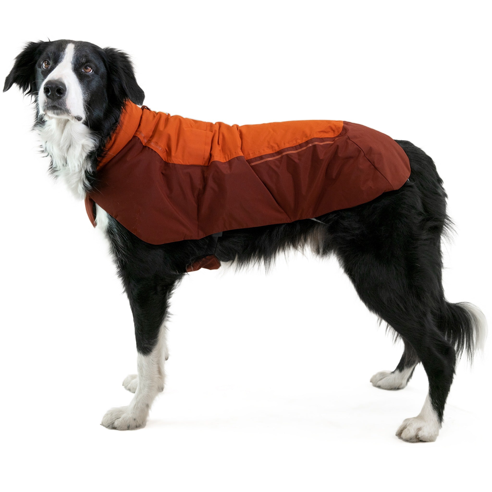 Ruffwear Vert Jacket dog coat