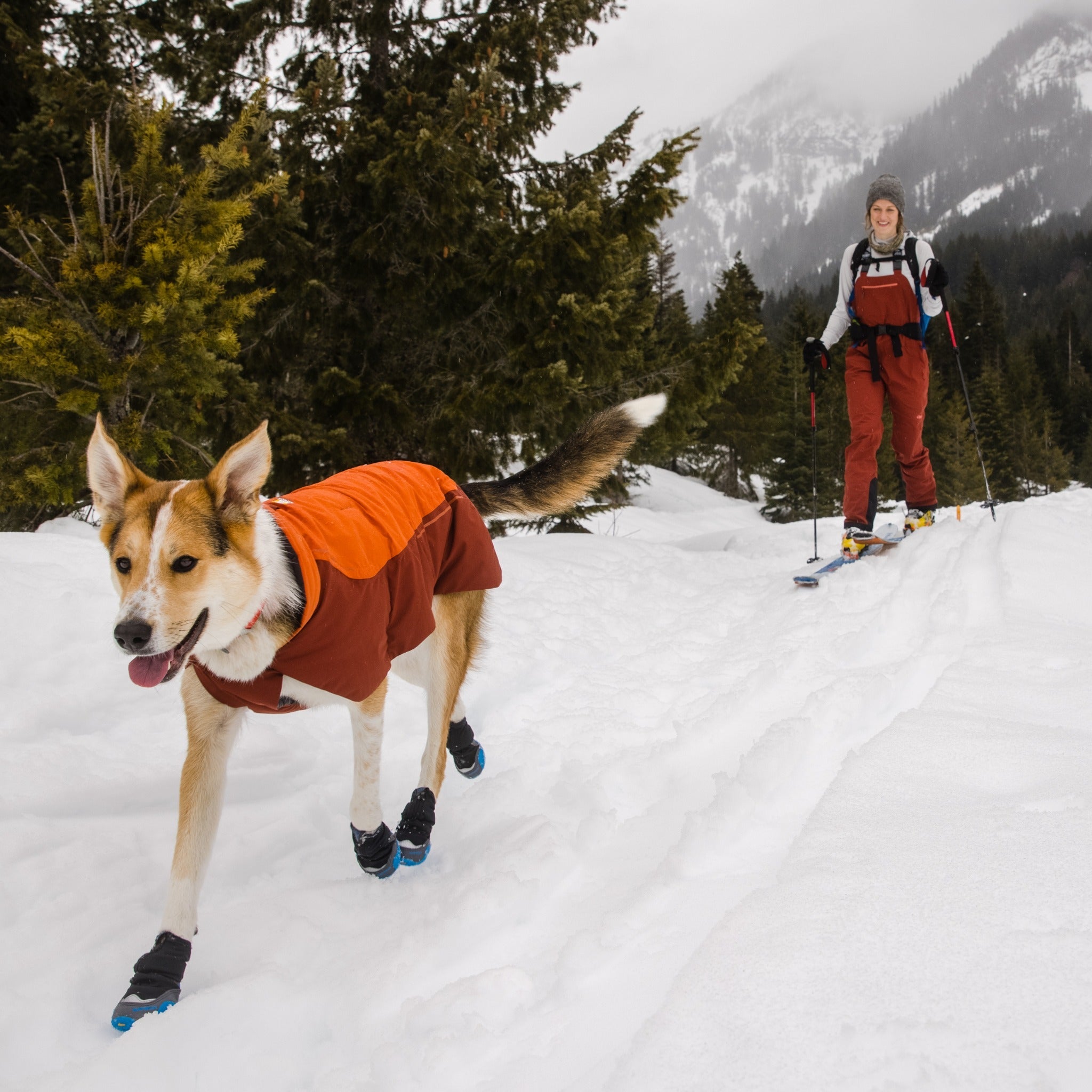 Ruffwear 2025 vert jacket