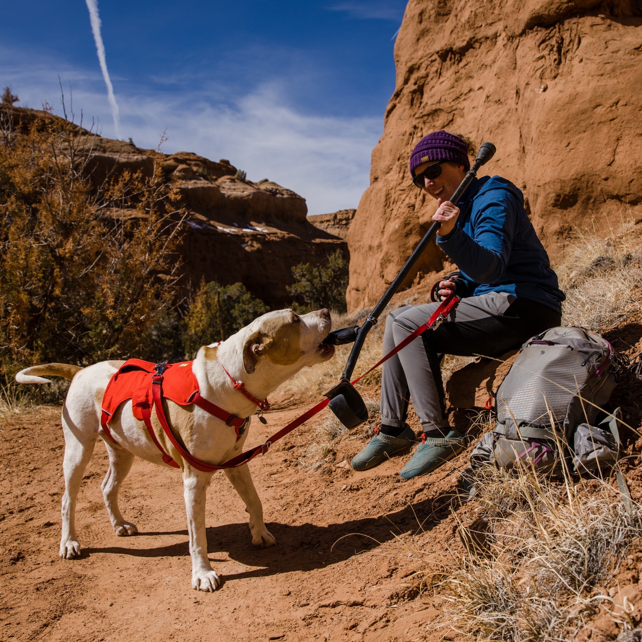 Ruffwear Web Master Harness Hundegeschirr