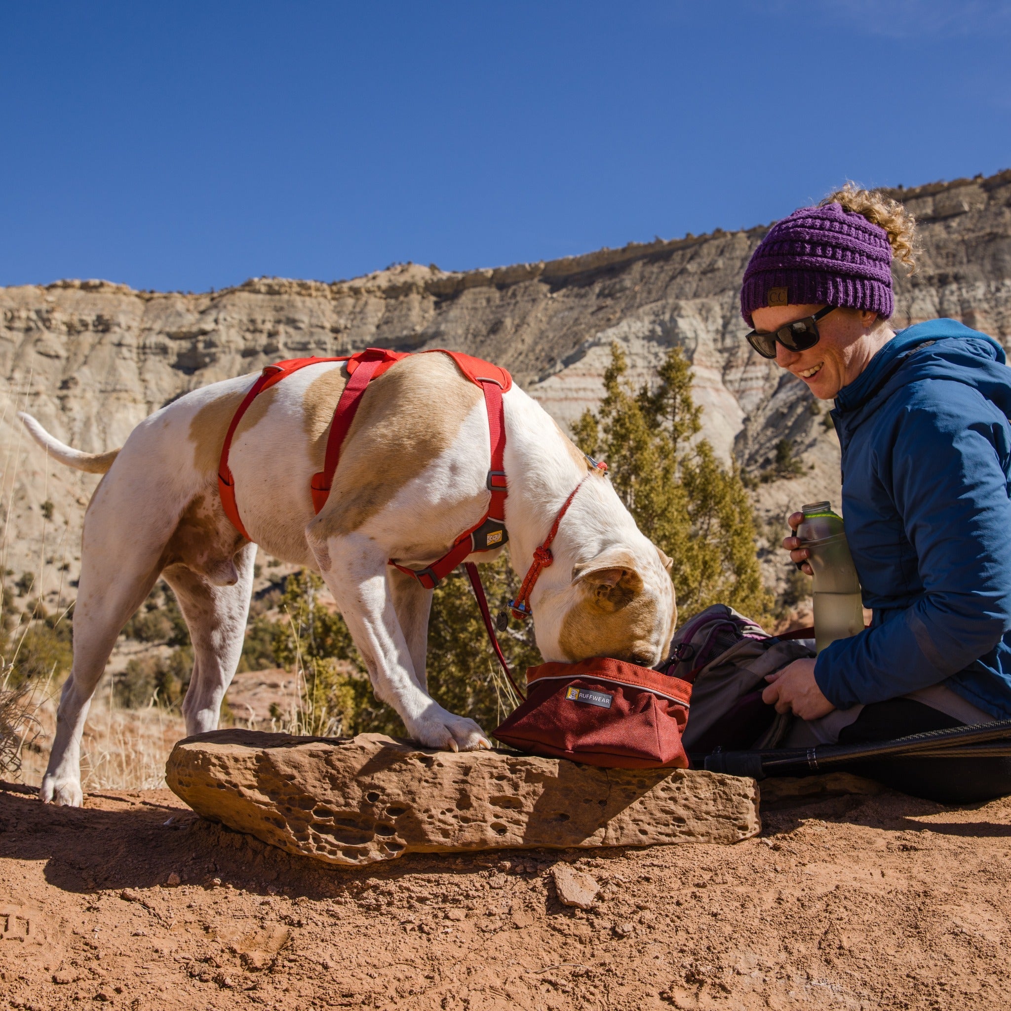 Ruffwear Web Master Harness Hundegeschirr