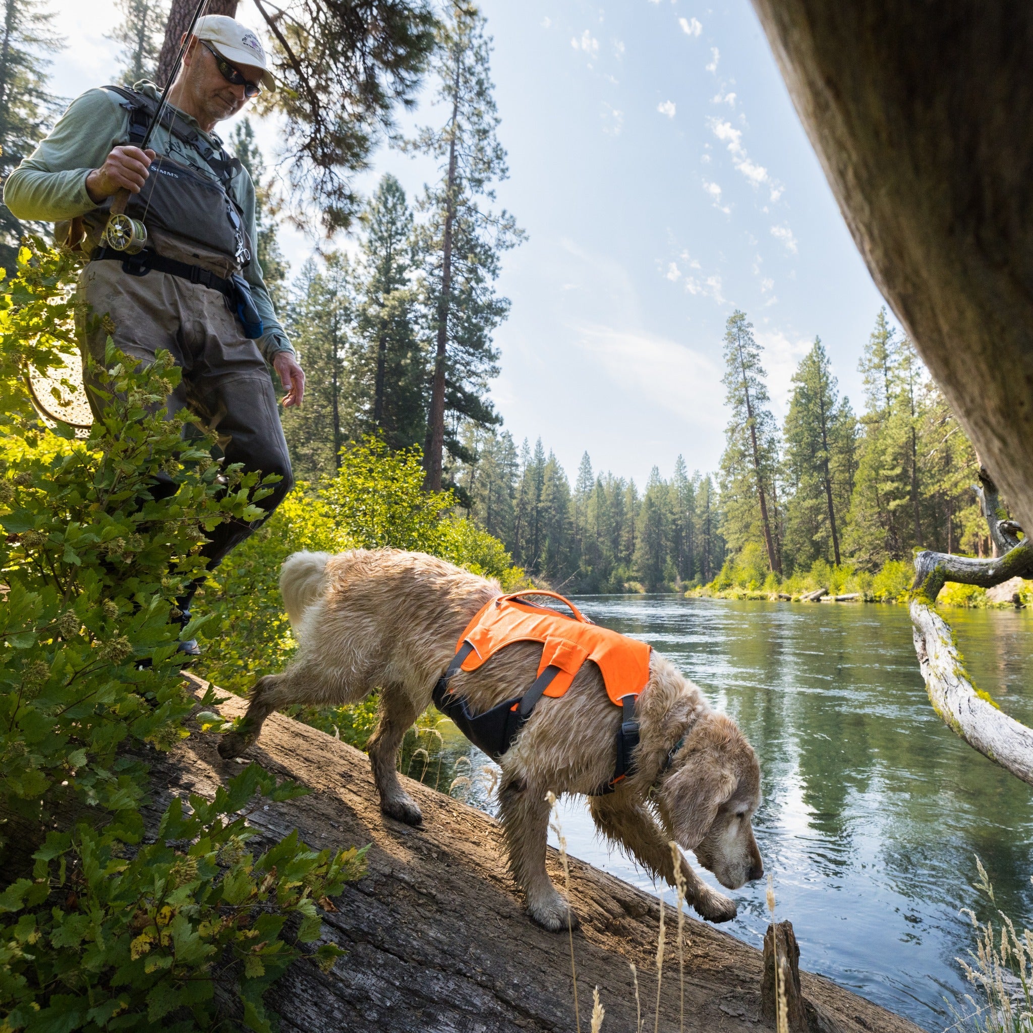 Ruffwear Web Master Dog Harness