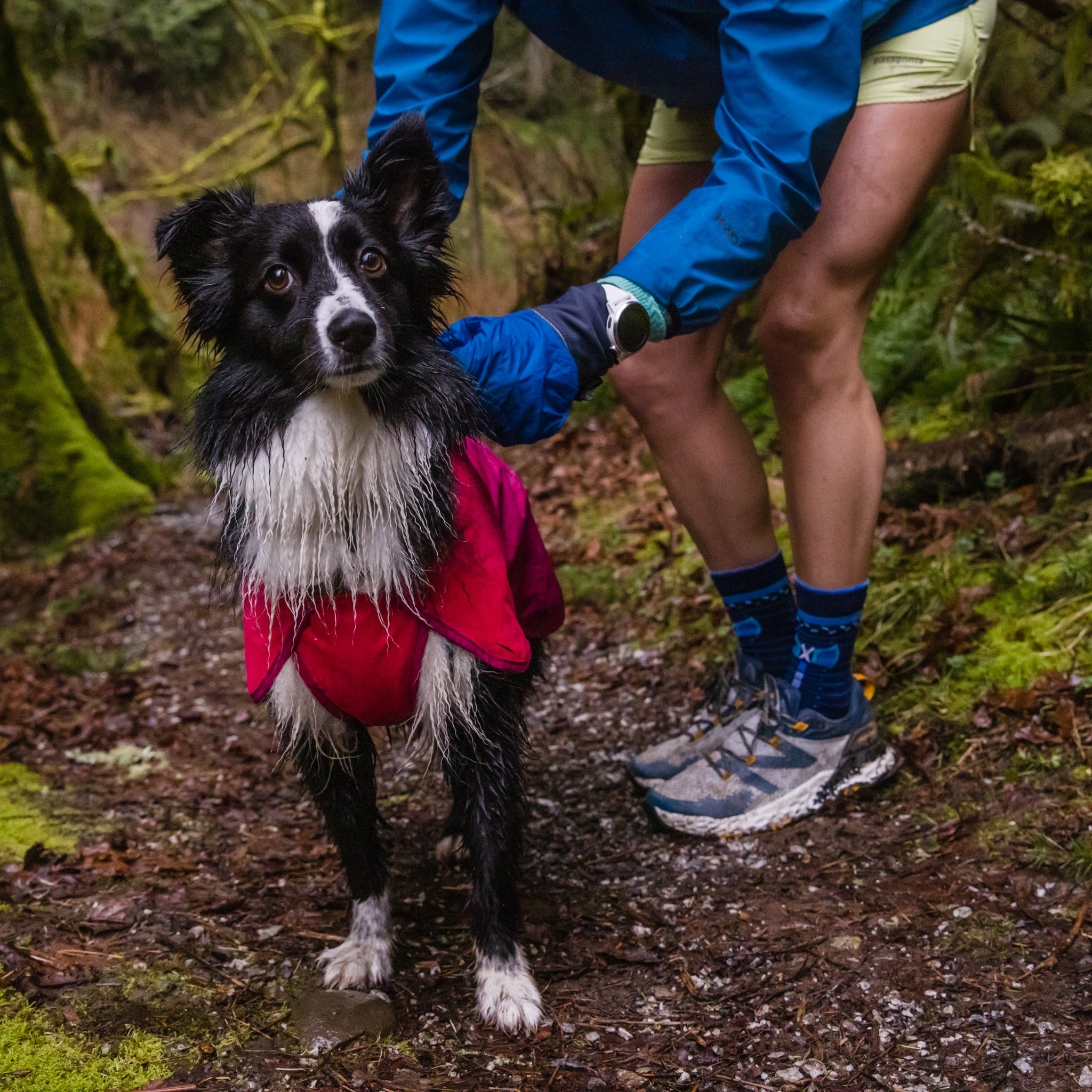 Ruffwear Sun Shower Dog Raincoat